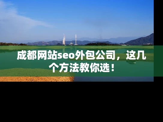 成都网站seo外包公司，这几个方法教你选！