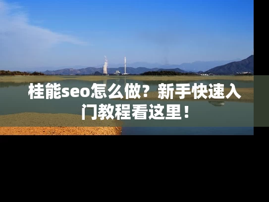 桂能seo怎么做？新手快速入门教程看这里！