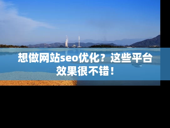 想做网站seo优化？这些平台效果很不错！