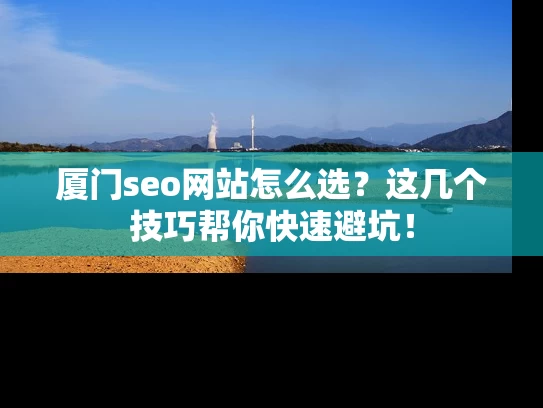 厦门seo网站怎么选？这几个技巧帮你快速避坑！