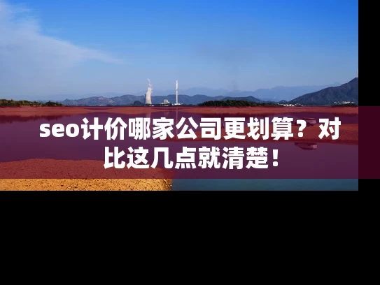 seo计价哪家公司更划算？对比这几点就清楚！