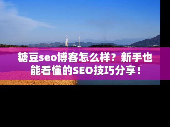 糖豆seo博客怎么样？新手也能看懂的SEO技巧分享！