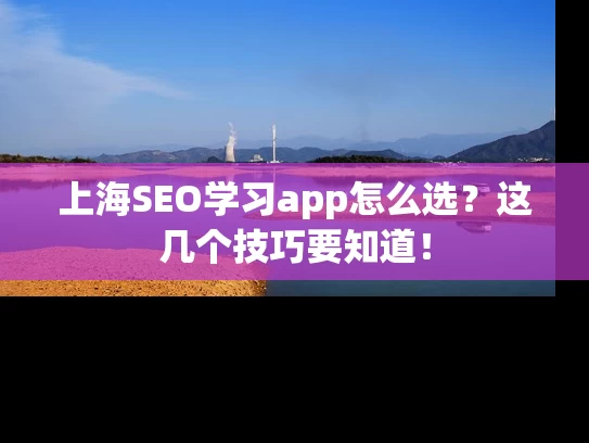 上海SEO学习app怎么选？这几个技巧要知道！