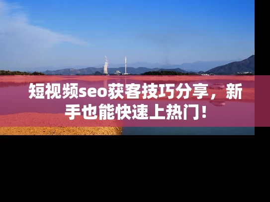 短视频seo获客技巧分享，新手也能快速上热门！