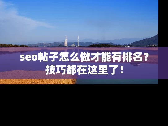 seo帖子怎么做才能有排名？技巧都在这里了！