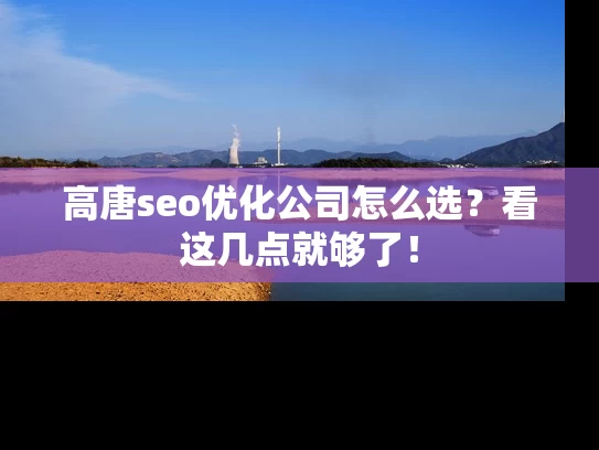 高唐seo优化公司怎么选？看这几点就够了！