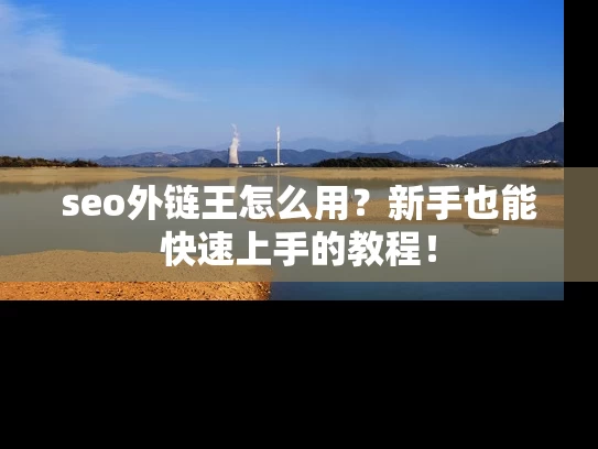 seo外链王怎么用？新手也能快速上手的教程！