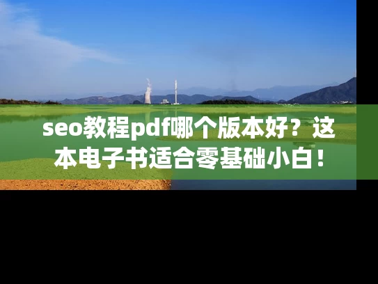 seo教程pdf哪个版本好？这本电子书适合零基础小白！