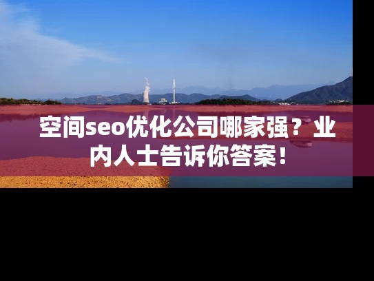 空间seo优化公司哪家强？业内人士告诉你答案！