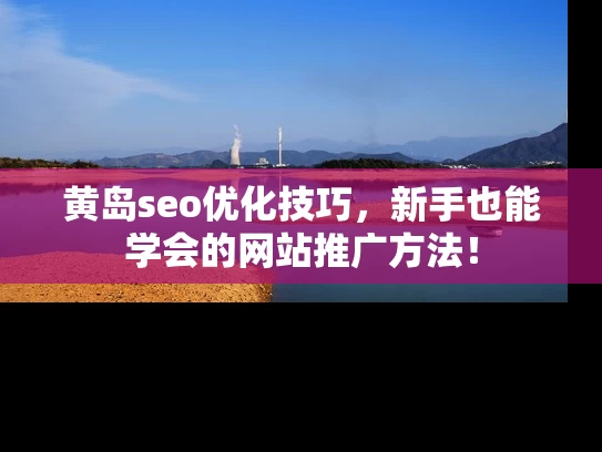 黄岛seo优化技巧，新手也能学会的网站推广方法！
