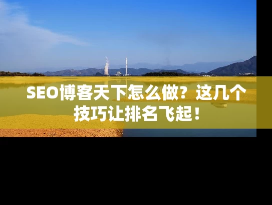 SEO博客天下怎么做？这几个技巧让排名飞起！