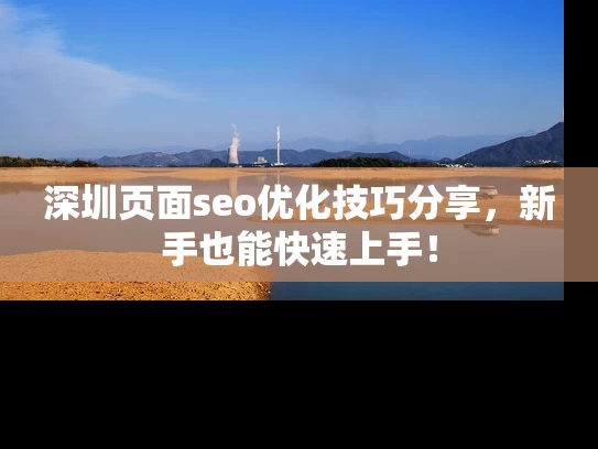 深圳页面seo优化技巧分享，新手也能快速上手！