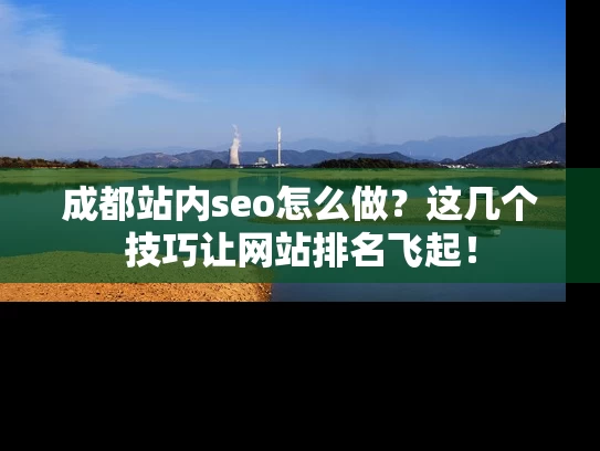 成都站内seo怎么做？这几个技巧让网站排名飞起！
