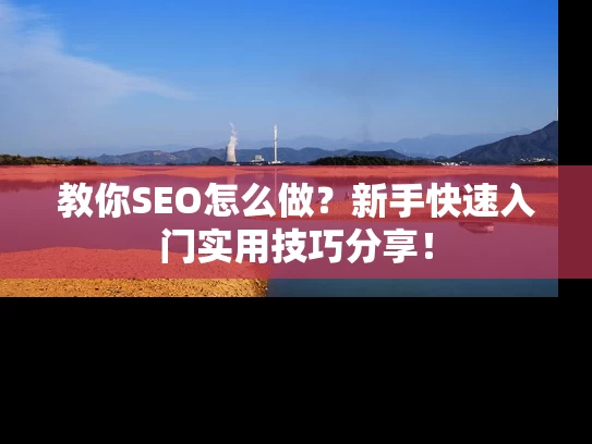 教你SEO怎么做？新手快速入门实用技巧分享！
