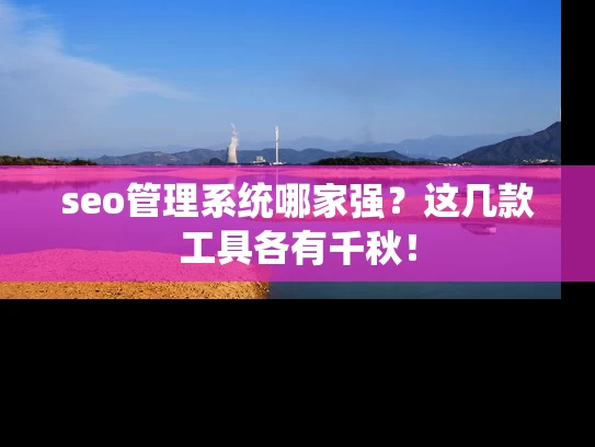 seo管理系统哪家强？这几款工具各有千秋！