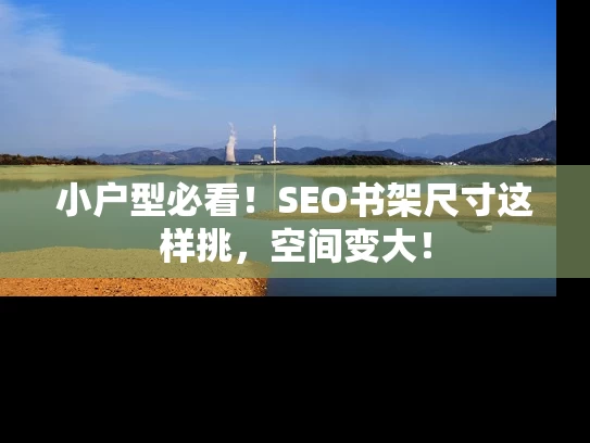 小户型必看！SEO书架尺寸这样挑，空间变大！