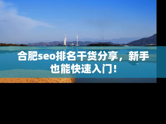 合肥seo排名干货分享，新手也能快速入门！