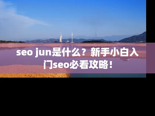 seo jun是什么？新手小白入门seo必看攻略！