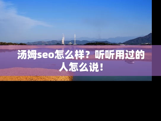汤姆seo怎么样？听听用过的人怎么说！