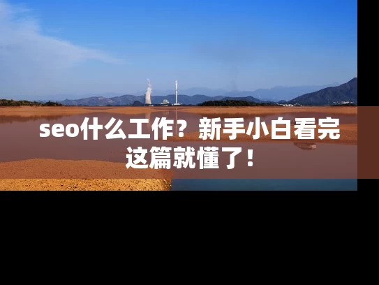 seo什么工作？新手小白看完这篇就懂了！