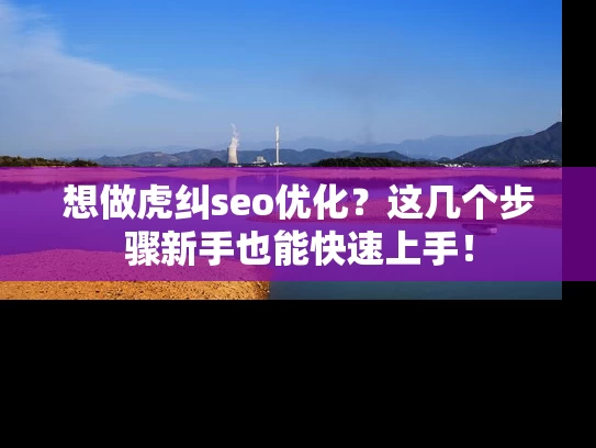 想做虎纠seo优化？这几个步骤新手也能快速上手！