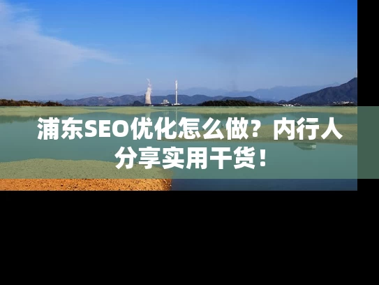 浦东SEO优化怎么做？内行人分享实用干货！