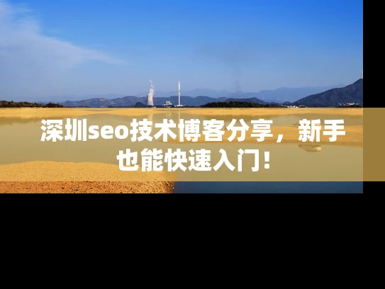 深圳seo技术博客分享，新手也能快速入门！