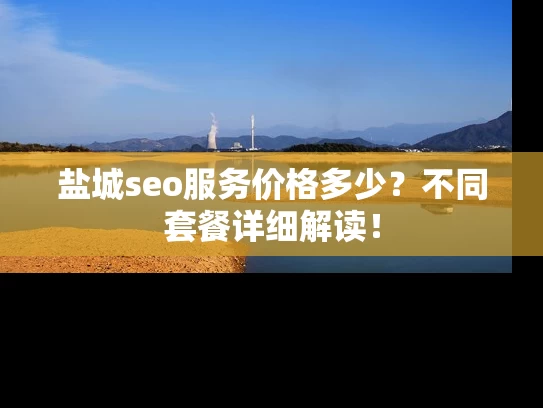 盐城seo服务价格多少？不同套餐详细解读！