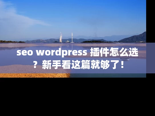seo wordpress 插件怎么选？新手看这篇就够了！