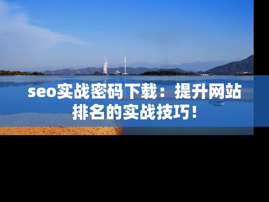 seo实战密码下载：提升网站排名的实战技巧！
