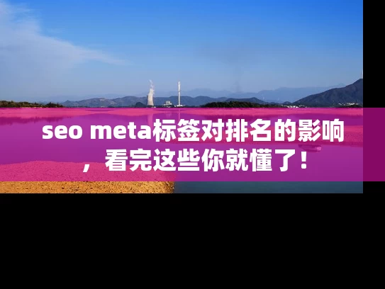 seo meta标签对排名的影响，看完这些你就懂了！