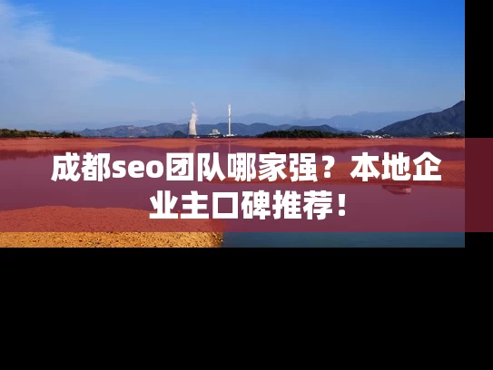 成都seo团队哪家强？本地企业主口碑推荐！