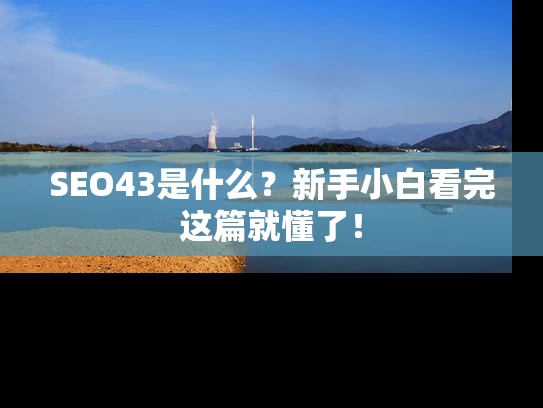 SEO43是什么？新手小白看完这篇就懂了！