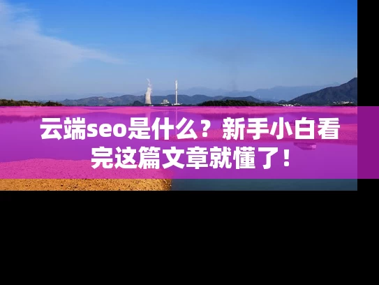 云端seo是什么？新手小白看完这篇文章就懂了！