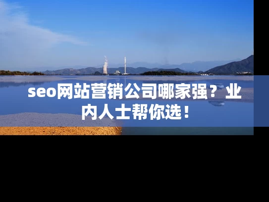 seo网站营销公司哪家强？业内人士帮你选！