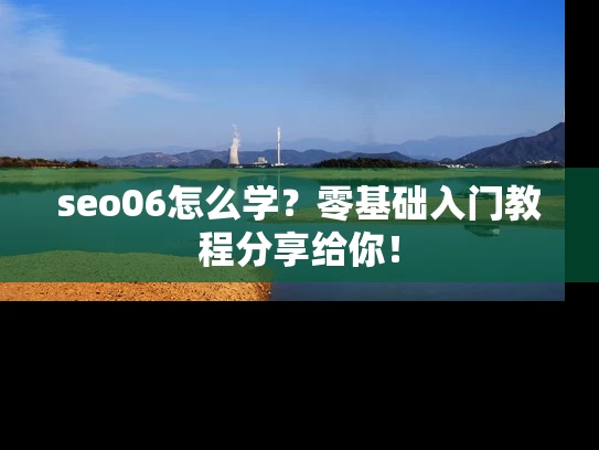 seo06怎么学？零基础入门教程分享给你！