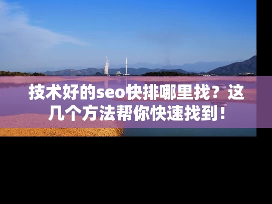 技术好的seo快排哪里找？这几个方法帮你快速找到！