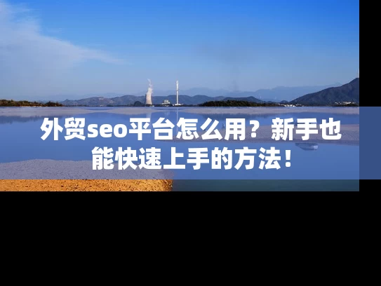 外贸seo平台怎么用？新手也能快速上手的方法！