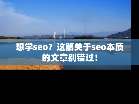 想学seo？这篇关于seo本质的文章别错过！