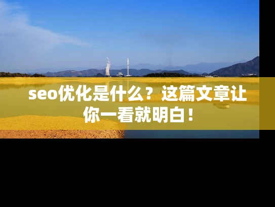 seo优化是什么？这篇文章让你一看就明白！
