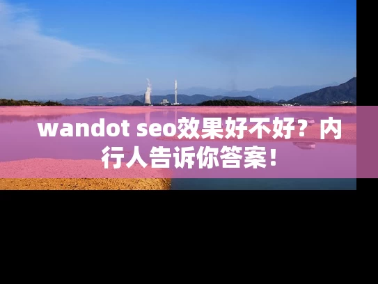 wandot seo效果好不好？内行人告诉你答案！