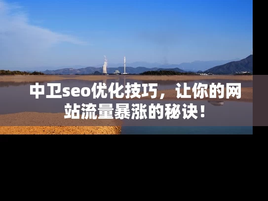中卫seo优化技巧，让你的网站流量暴涨的秘诀！