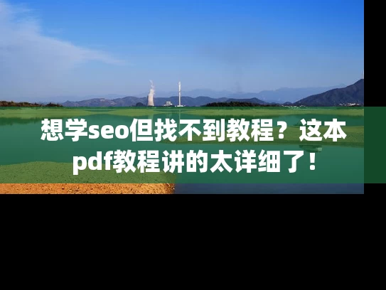 想学seo但找不到教程？这本pdf教程讲的太详细了！