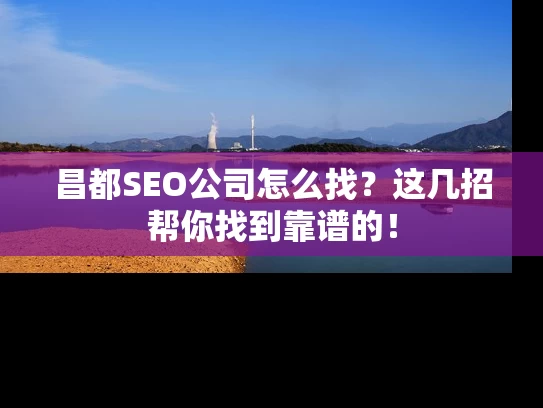 昌都SEO公司怎么找？这几招帮你找到靠谱的！