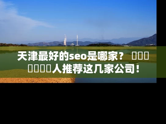 天津最好的seo是哪家？ স্থানীয়人推荐这几家公司！