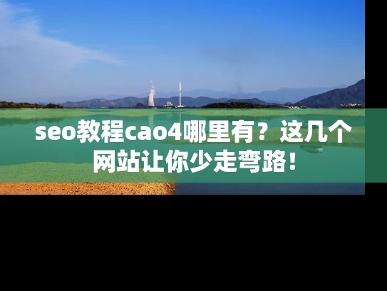 seo教程cao4哪里有？这几个网站让你少走弯路！