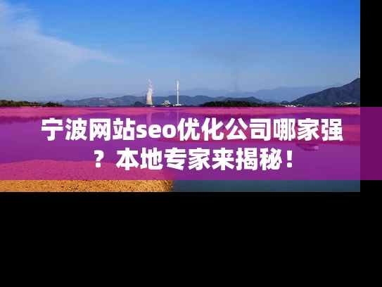宁波网站seo优化公司哪家强？本地专家来揭秘！