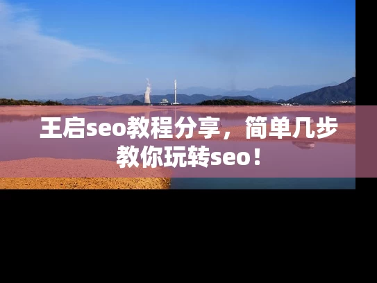 王启seo教程分享，简单几步教你玩转seo！