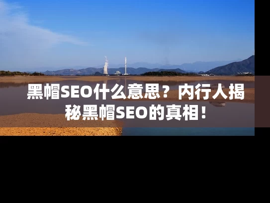黑帽SEO什么意思？内行人揭秘黑帽SEO的真相！