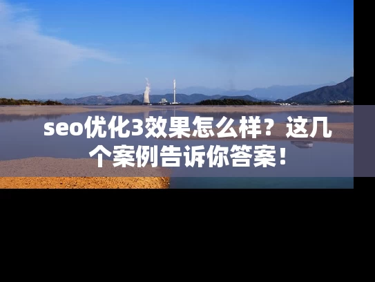 seo优化3效果怎么样？这几个案例告诉你答案！